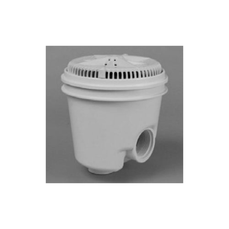 500110 Pentair 8" Starguard W/2" Side