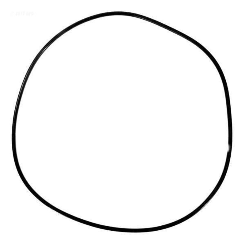 59021000 Pentair Tank-O-Ring American