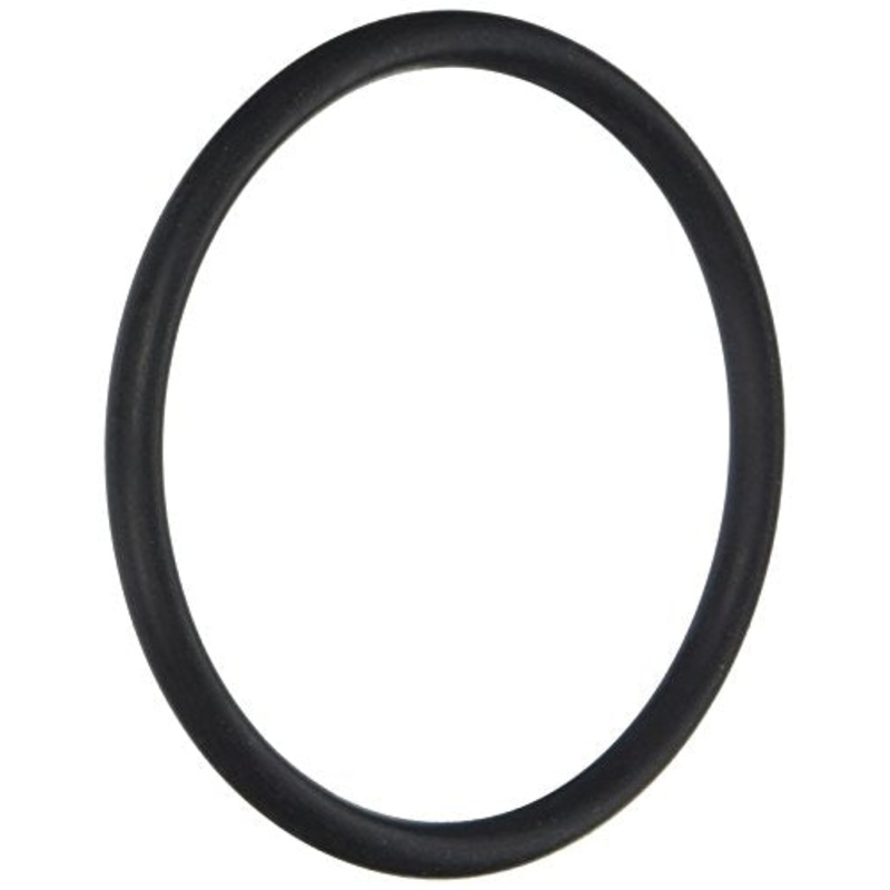 79207100 Pentair O-Ring With Instructions