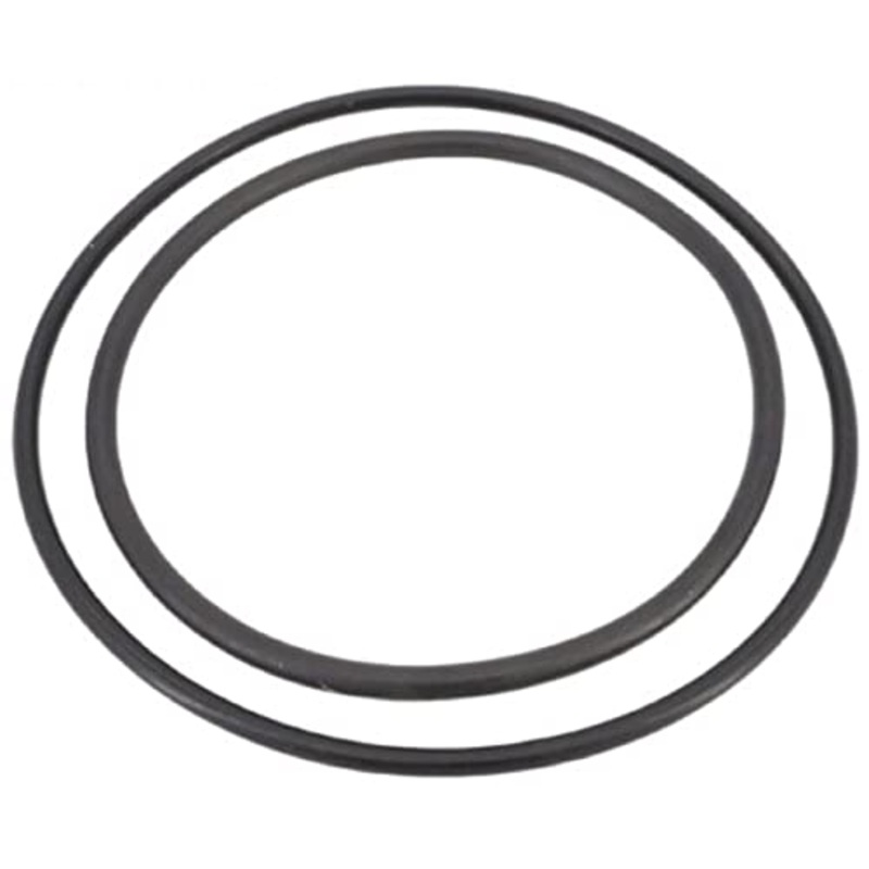 ZBR12200 Pentair O-Ring Kit