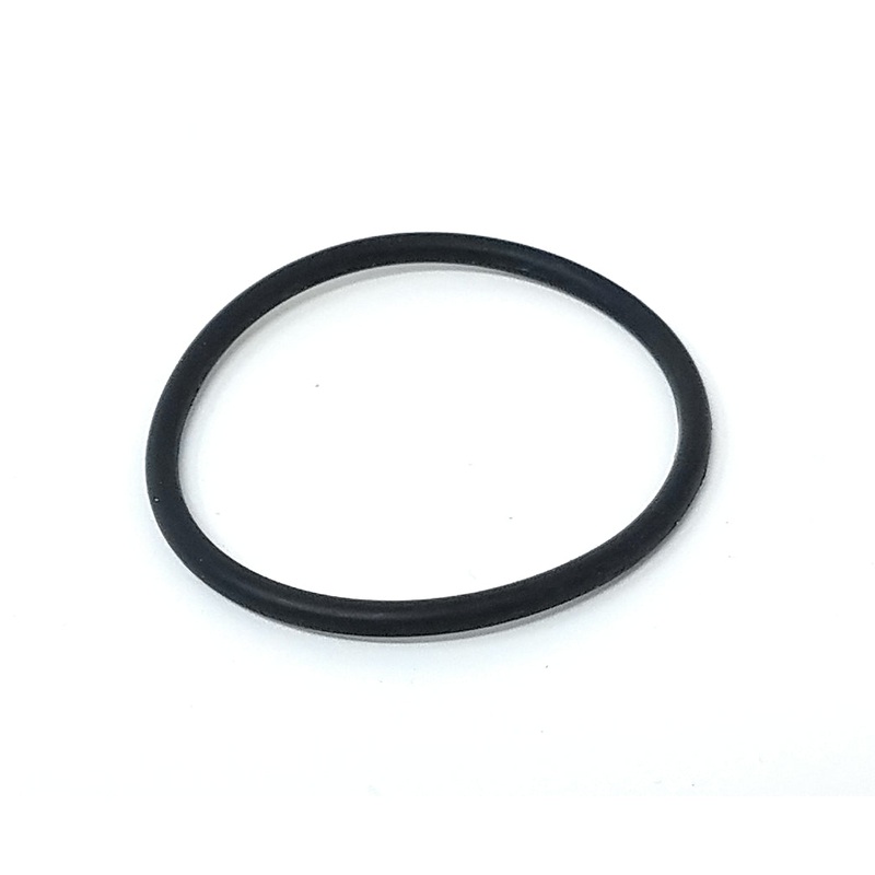 Polaris Vac-Sweep 380 / 360 and TR35P / TR36P Pressure Cleaner O-ring, Feed Pipe Assy