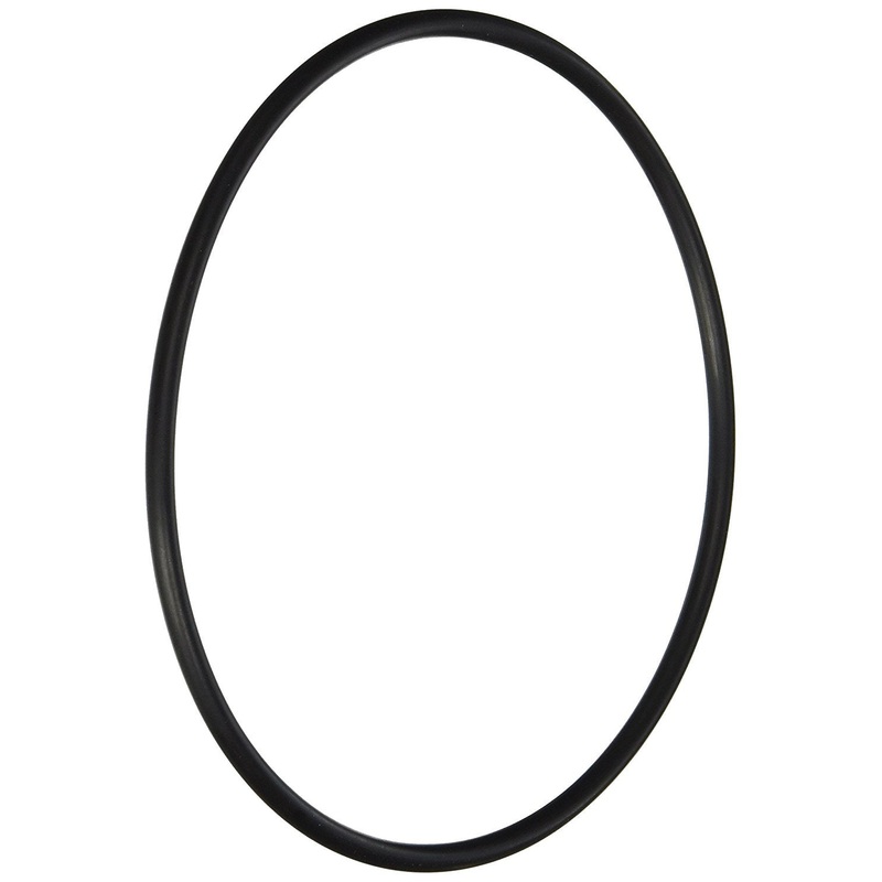 Hayward Leaf Canister O-Ring | AXW542