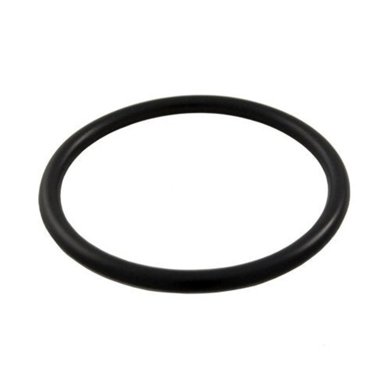 Hayward O-Ring for Winter Plug | SPX1022CZ2