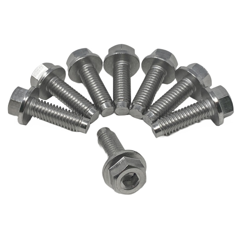 Pentair Seal Plate-to-Strainer Pot Bolts (8 Pack) || 074164Z