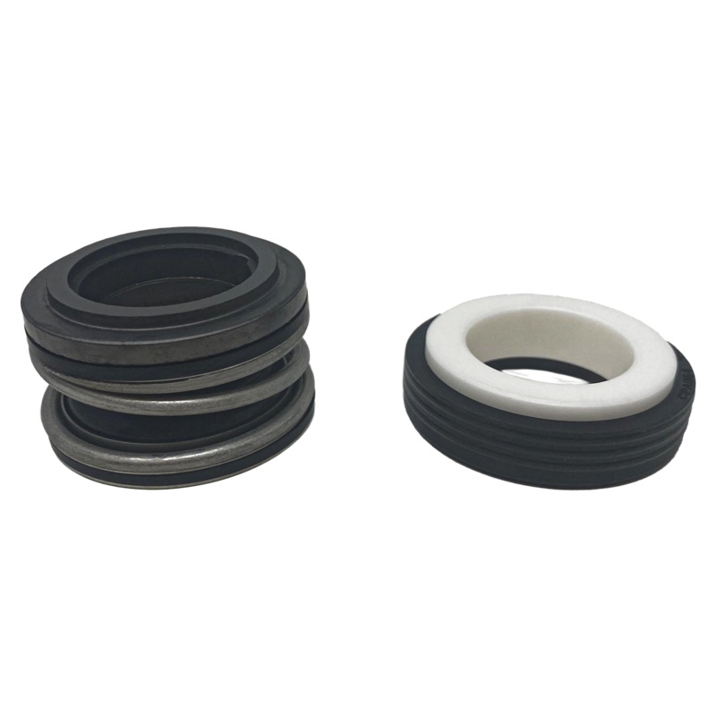 Pentair Shaft Seal Replacement || 17351-0101S