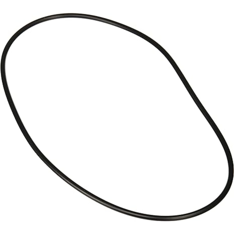 Jandy VS FloPro 1.85 HP VS Pump Backplate O-Ring || R0480300