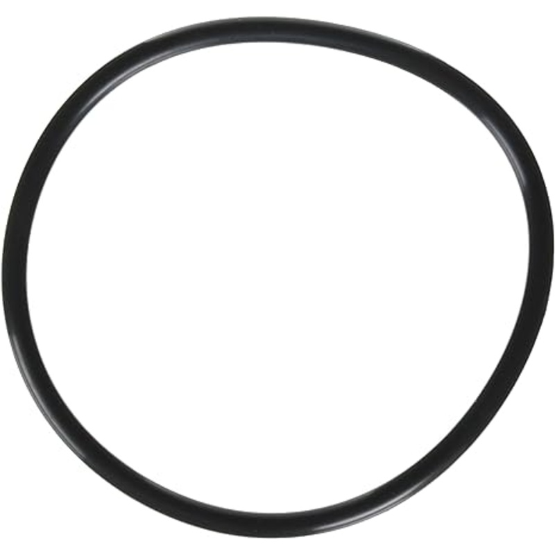 Jandy VS FloPro 1.85 HP VS Pump Lid O-Ring || R0480200