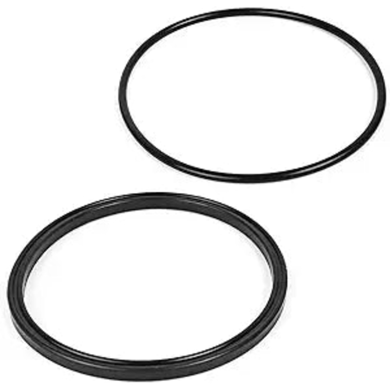 Jandy VS PlusHP 2.7 HP VS Pump Lid Seal/O-Ring || R0449100