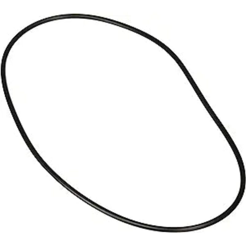 Jandy VS PlusHP/Stealth/WaterFall 2.7 HP VS Pump Backplate O-Ring || R0446300