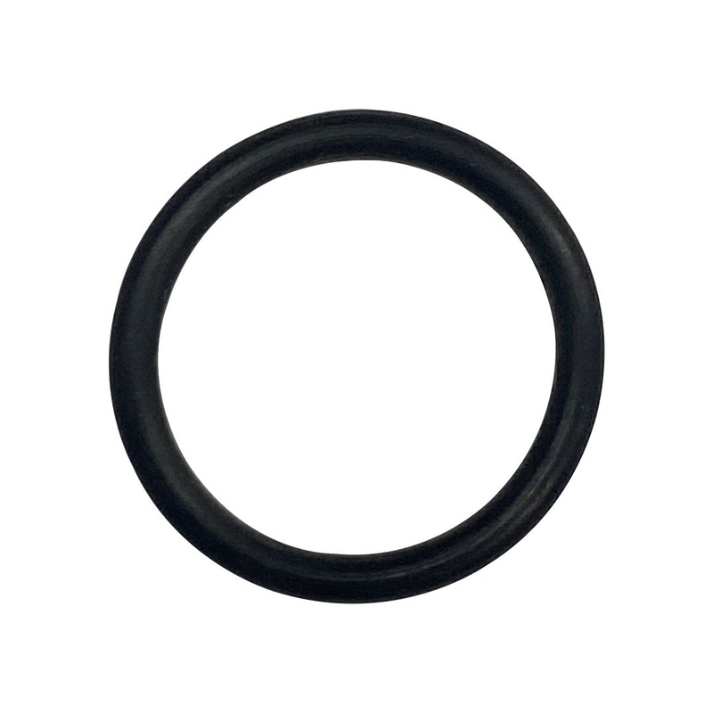 O-680-Bagged Gasket - Aladdin