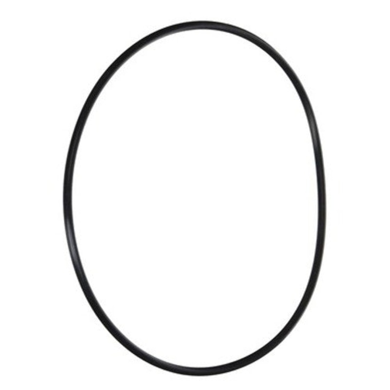 Pentair O-Ring Clear Black Replacement | 154493Z