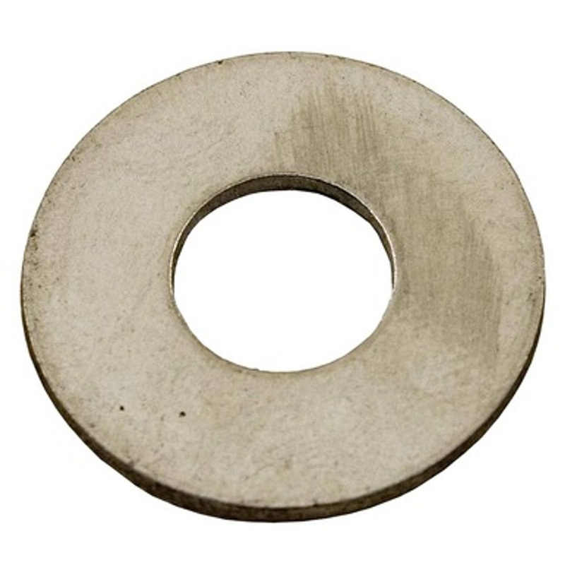 Pentair Washer 3/8in Stainless Steel | 154418