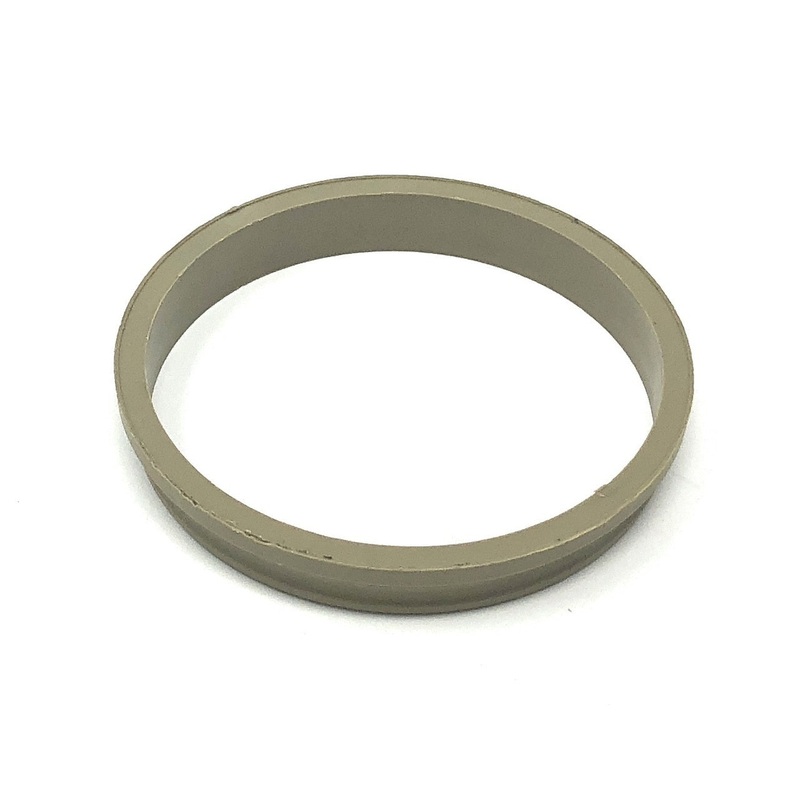 Gamma Series 3/4 Color Ring (Gold) - Pentair In-Floor(A&A) | 232408