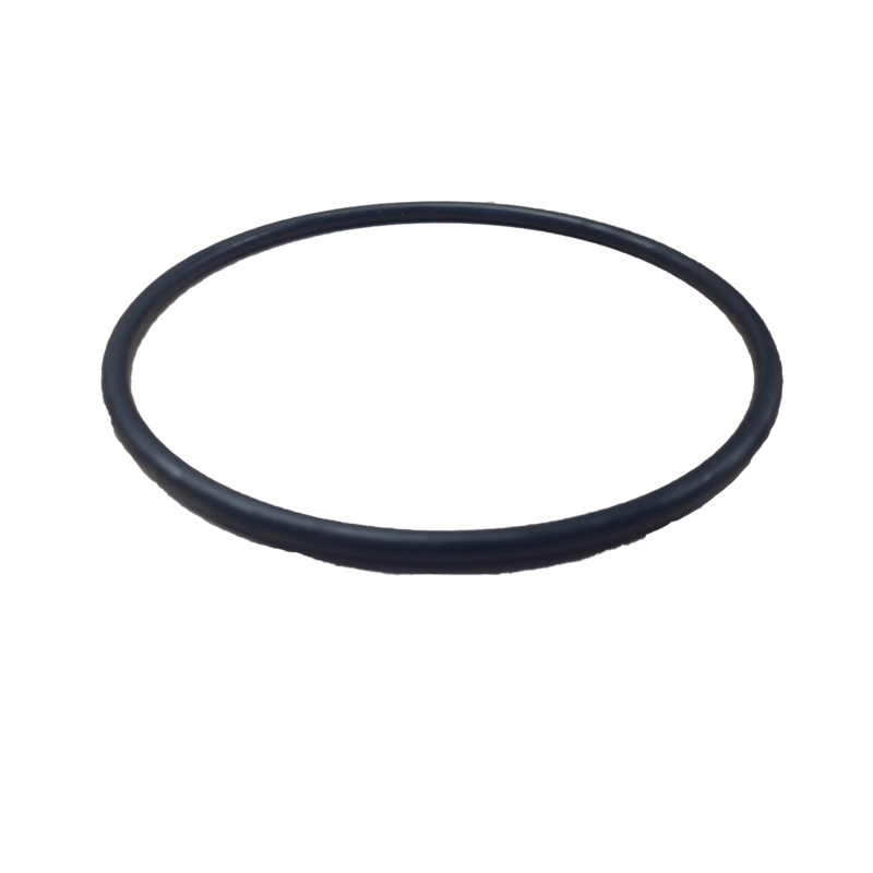 LeafVac Canister O-ring - Pentair In-Floor(A&A) | 219001