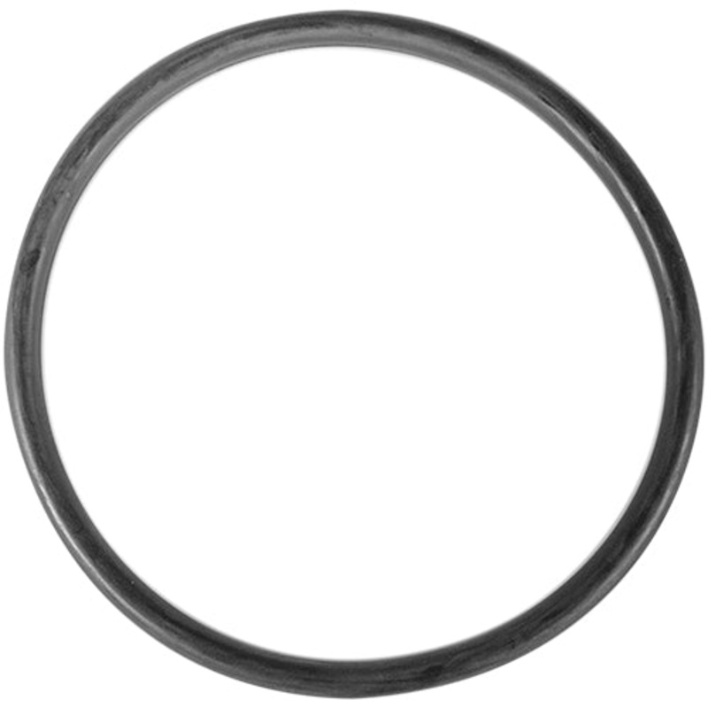 Aladdin O-Ring O-301