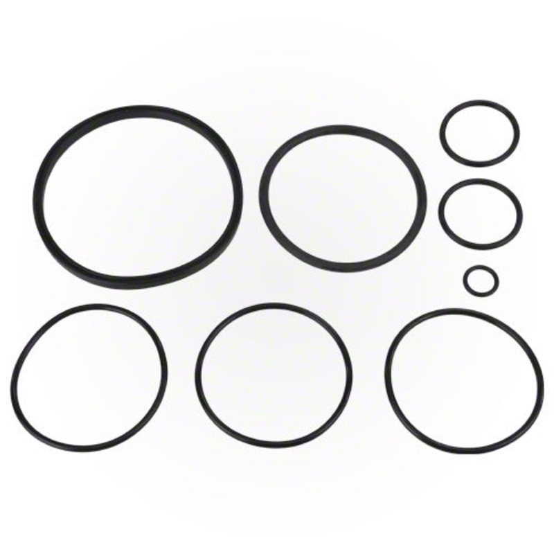 Zodiac Nature 2 Fusion O-Ring Kit R0502500