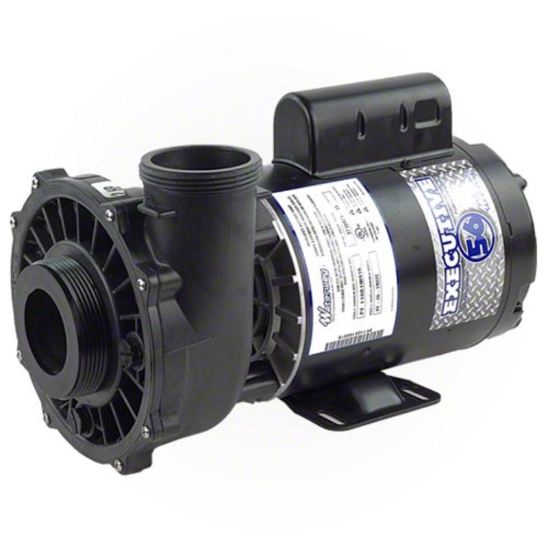 Waterway Executive 3 Horsepower 2 Spd 56 Frame Pump 3721221-13 - 2.5" Intake