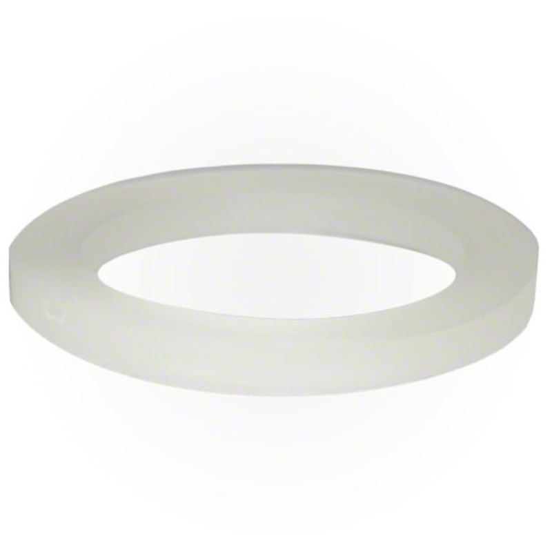 Waterway 2-Inch Union Gasket - 711-4020