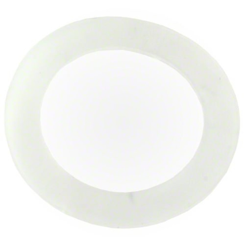 Waterway Suction Gasket - 711-3250