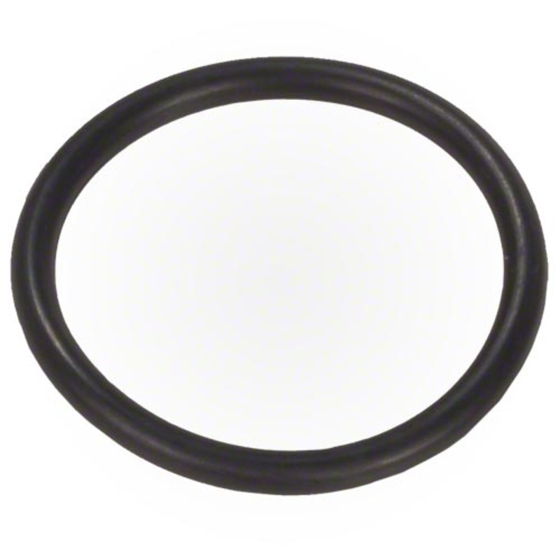 Zodiac Tab Feeder O-Ring R0586200