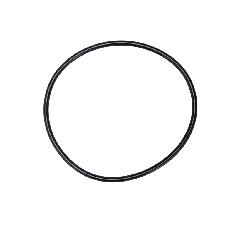 Hayward Leaf Canister O-Ring AXW542