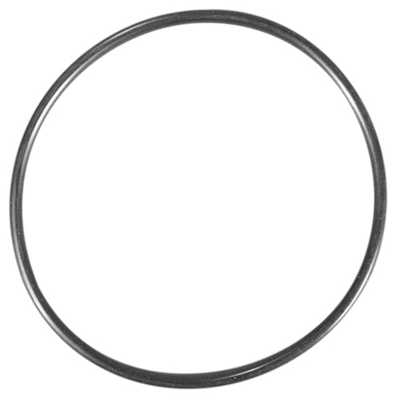 Waterway O-Ring 805-0239