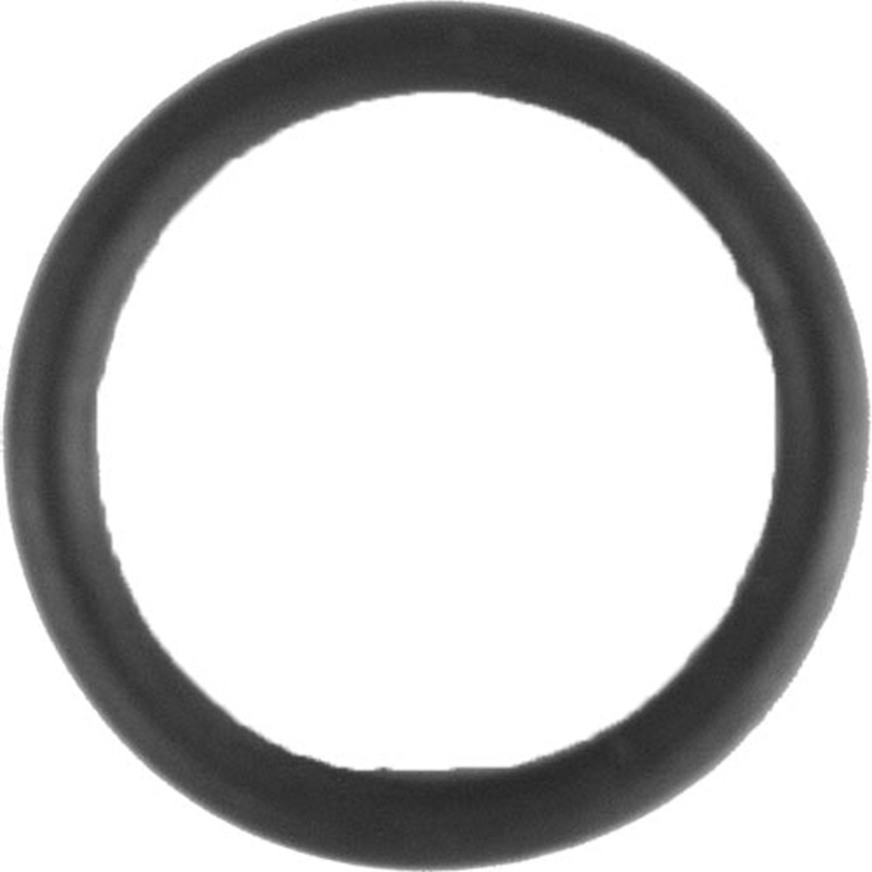 Aladdin O-ring O-130