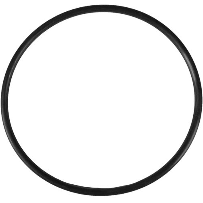 Aladdin O-Ring O-231