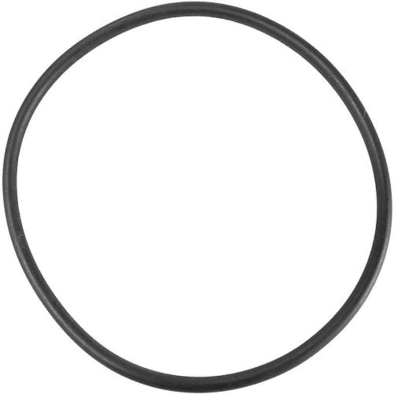 Aladdin O-Ring O-366