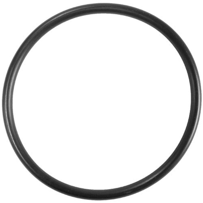 Aladdin O-ring O-442