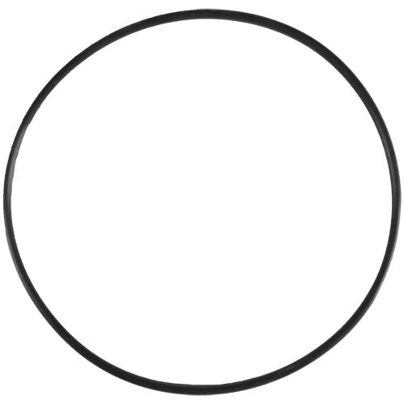 Aladdin O-Ring O-48