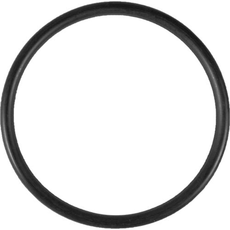 Aladdin O-Ring O-49