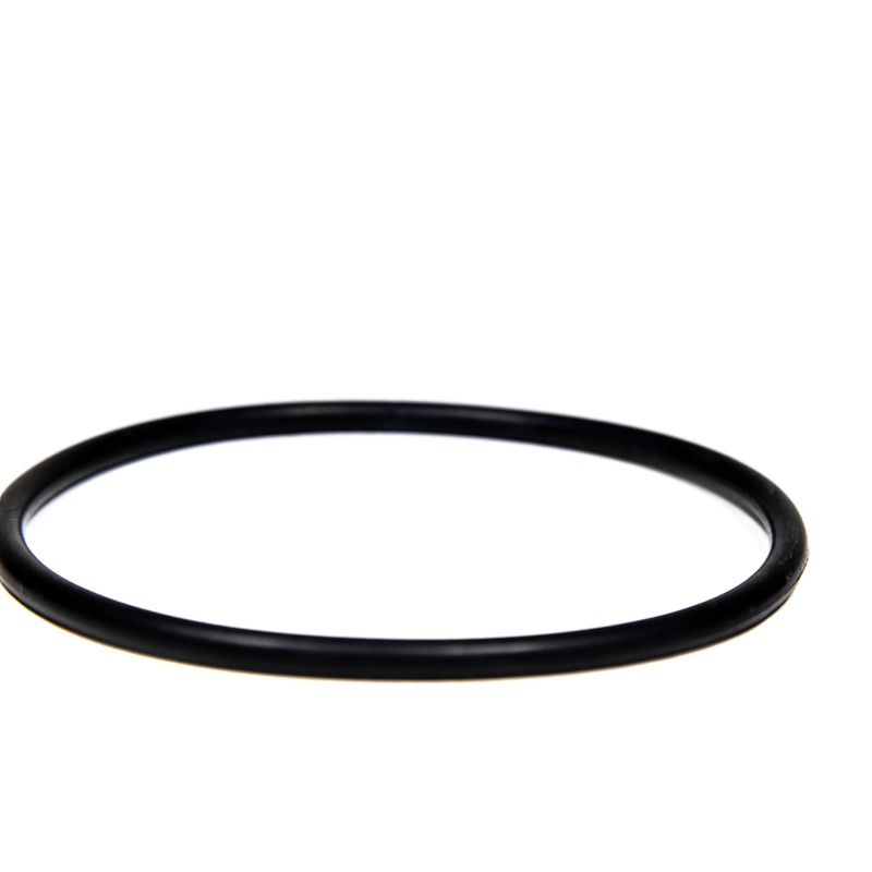 CMP PowerClean Salt Cell O-Ring 52000-200-101
